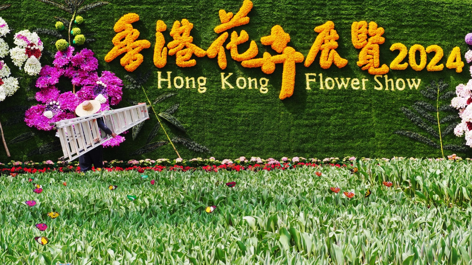 2024花卉展今起開幕 楊潤雄：展區設計匠心獨運 願花展碩果盈枝