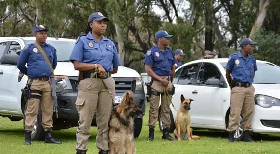 南非警察部長：打擊犯罪專項行動以來超50萬人落網