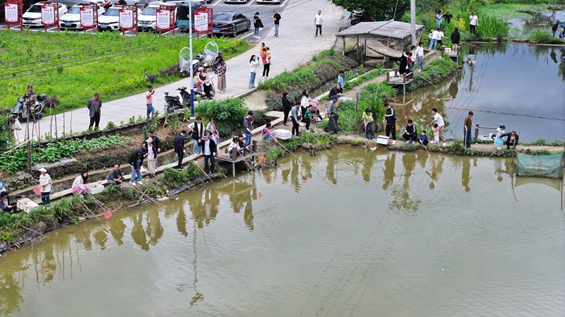田園樂趣多 皖祁門農事體驗遊火熱
