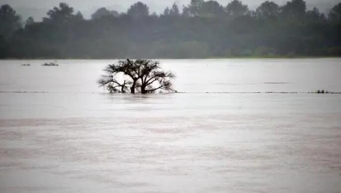 巴西南部因暴雨死亡人數升至56人