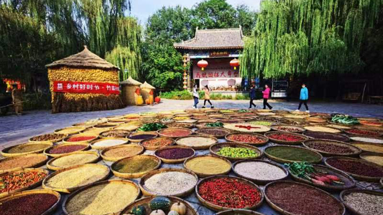 郵儲銀行2024年一季度穩中求進 提能力 謀創新 強管理