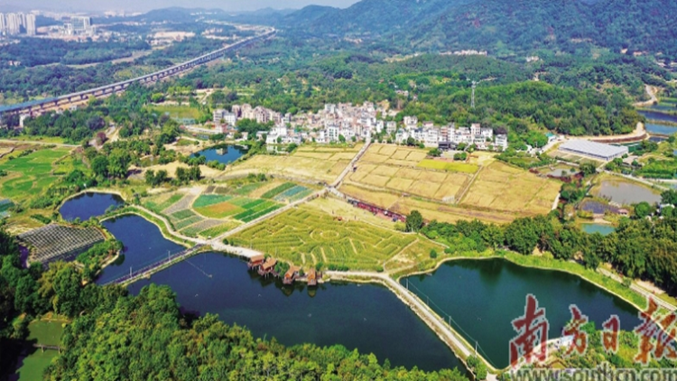 廣州繁華城市與和美鄉村交相輝映