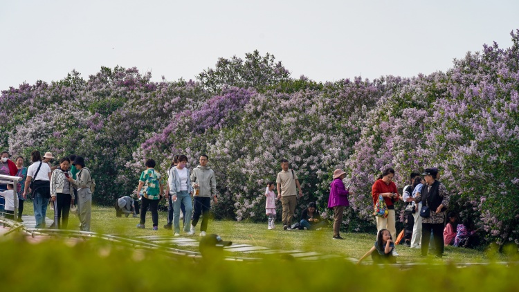 粵港澳大灣區至哈爾濱快速班列順利首發