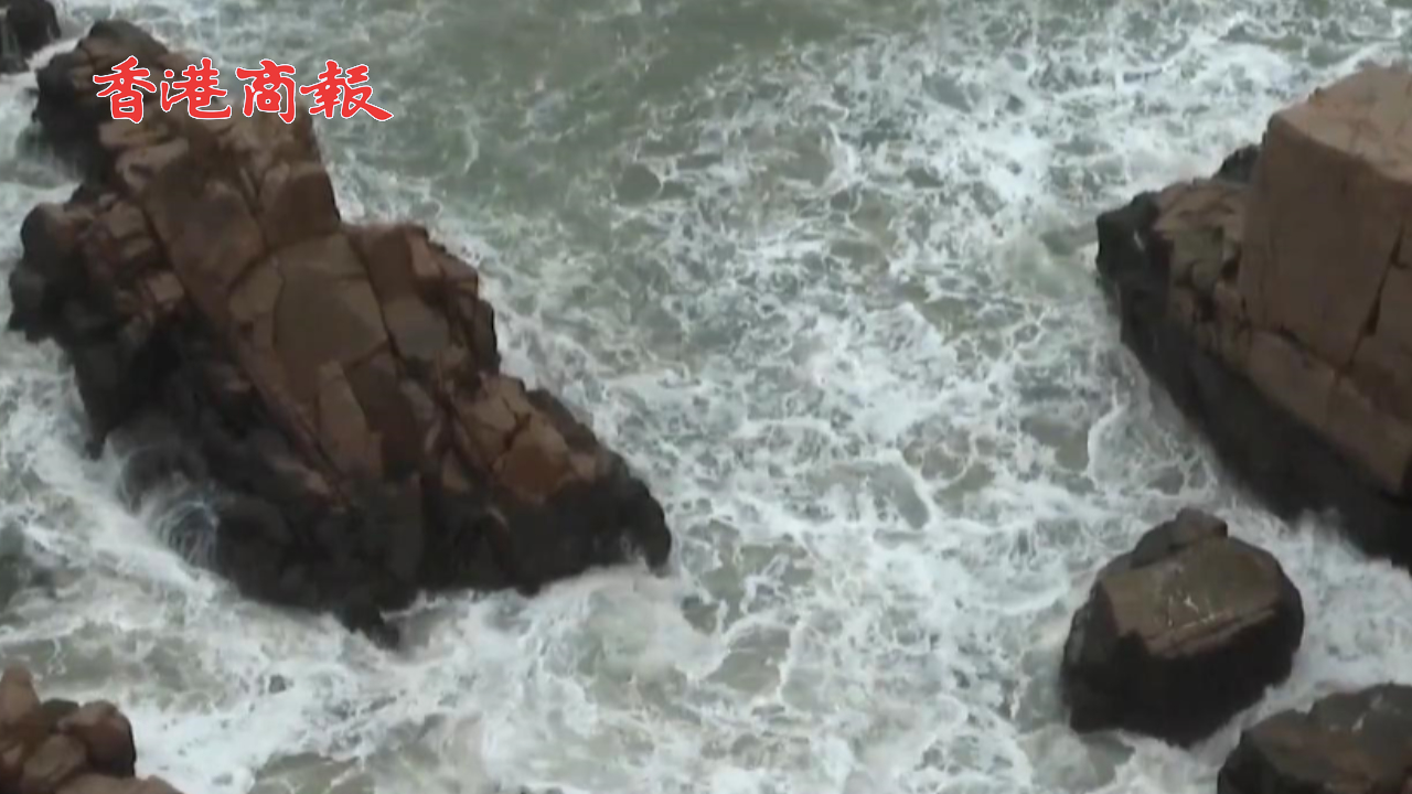 有片丨美國駕照被吊銷男子聽證會直播開車震驚法官