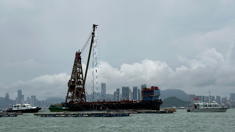 政府今日起採取行動 移除后海灣無標記蠔排