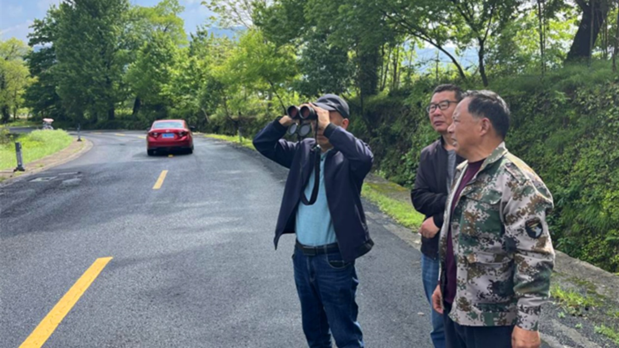 皖黟縣：靶向防控久久為功  織密綠水青山「防治網」