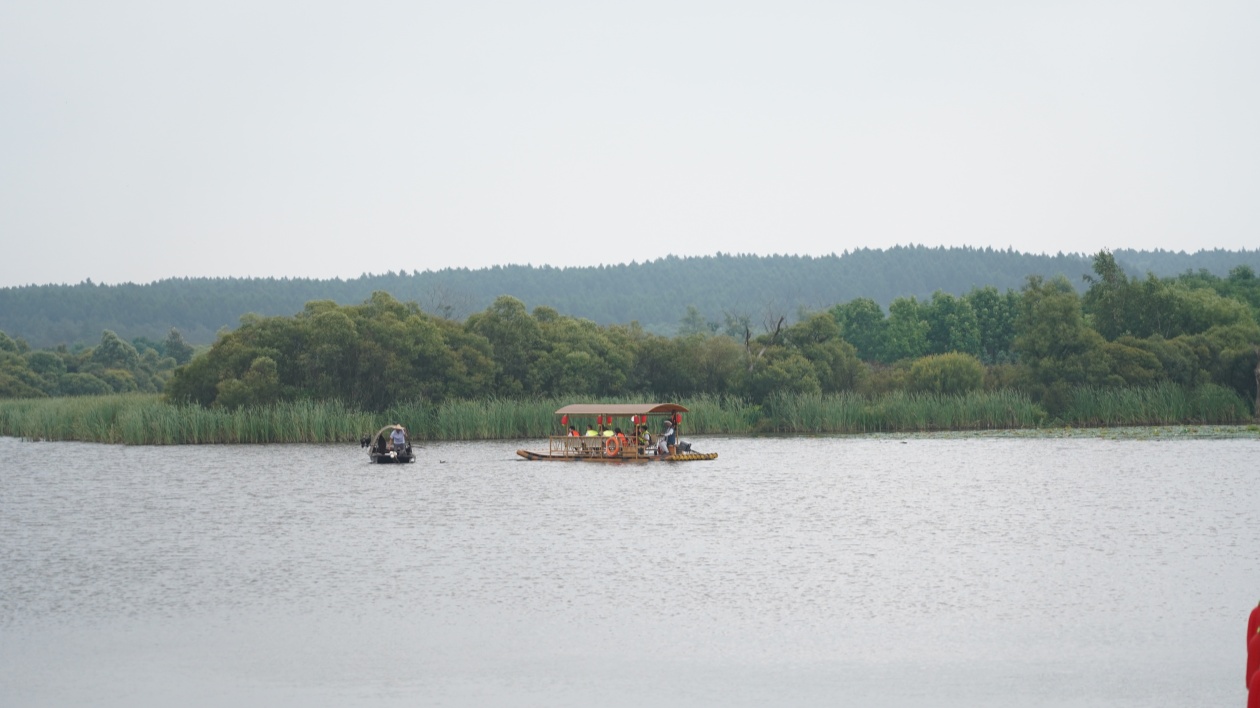 探尋濕地秘境 誤入藕花深處