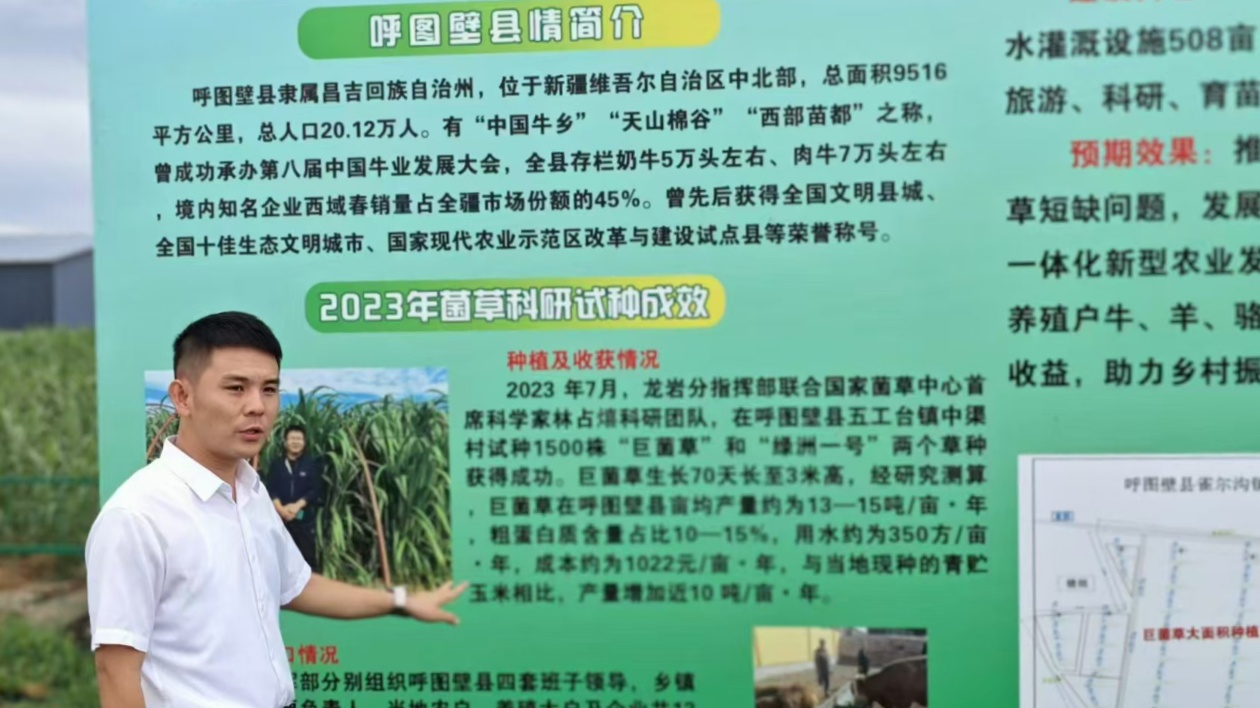 福建援疆龍巖分指揮部推動新疆呼圖壁縣菌草產業發展助力鄉村振興