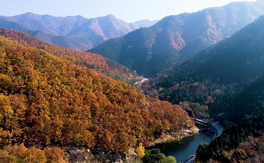 【視聽山東】城市之秋