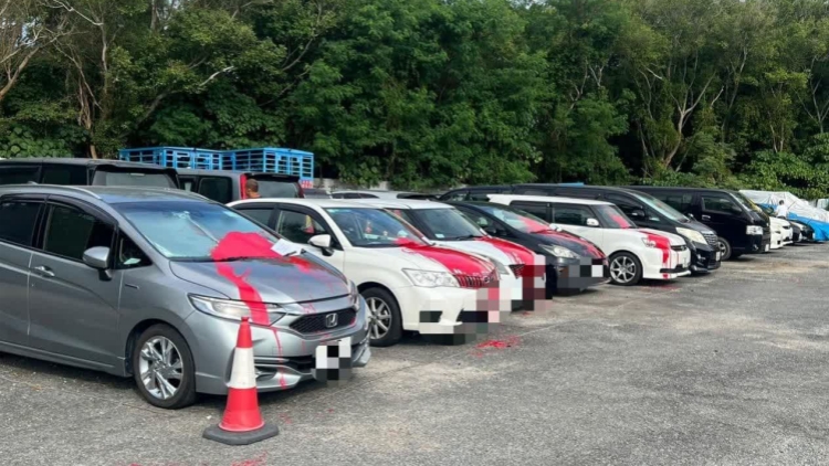 粉嶺兩露天停車場出破壞案 73輛車遭損毀