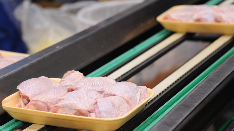 本港暫停進口日本島根縣禽肉及禽類產品