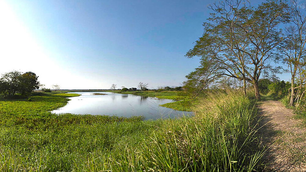 米埔自然護理區有環境樣本驗出H5N1 附近3公里無雞場