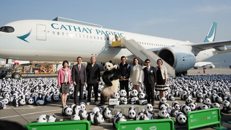 2500隻大熊貓雕塑抵港 周六起星光大道等地展出 市民遊客可免費打卡