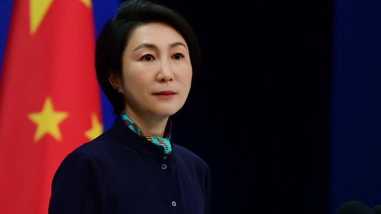 外交部：強烈不滿和堅決反對個別國家公然攻擊抹黑香港警方正當執法行動