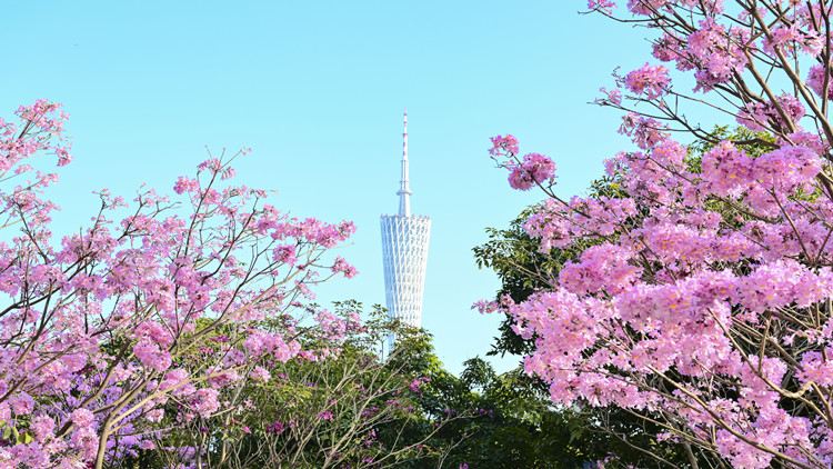 廣州地區啟動「科匯通」試點