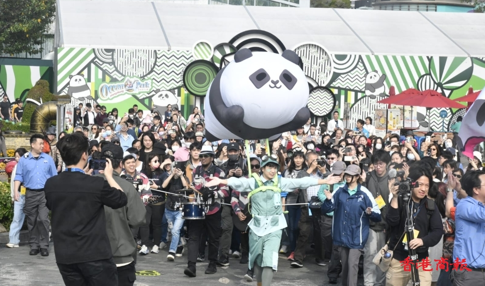 港產大熊貓BB首見公眾 數百人排隊等觀看