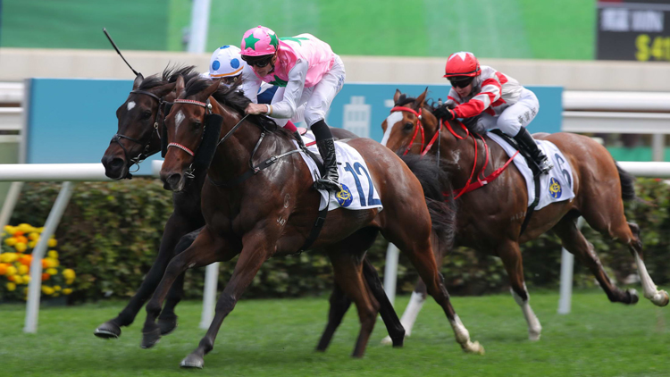 有片 | 幸運芙蓉捧走仁愛堂盃 東張西望主持拉頭馬