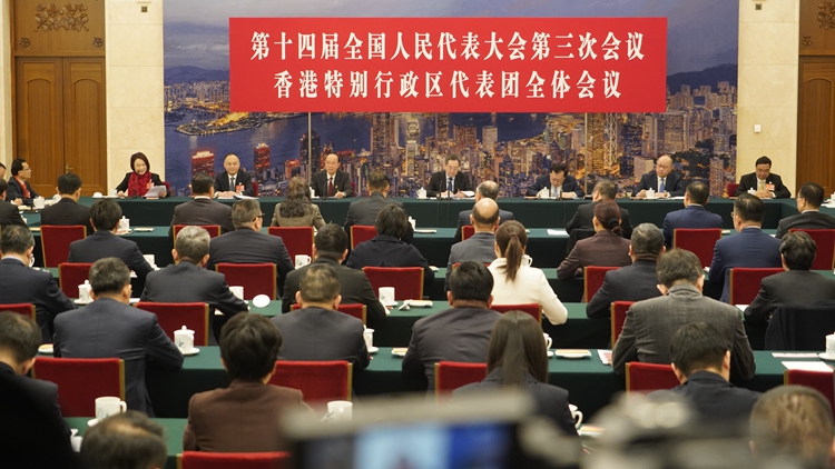 全國兩會｜丁薛祥參加港區全國人大代表團審議