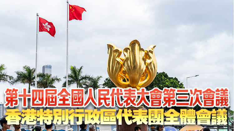 直播｜十四屆全國人大三次會議香港特區代表團全體會議