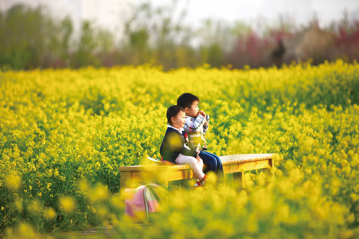 青島西海岸新區釋放「春日經濟」新活力