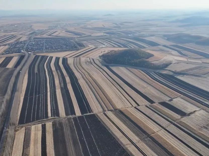 黑龍江寶清：墾地合作帶來好「錢」景