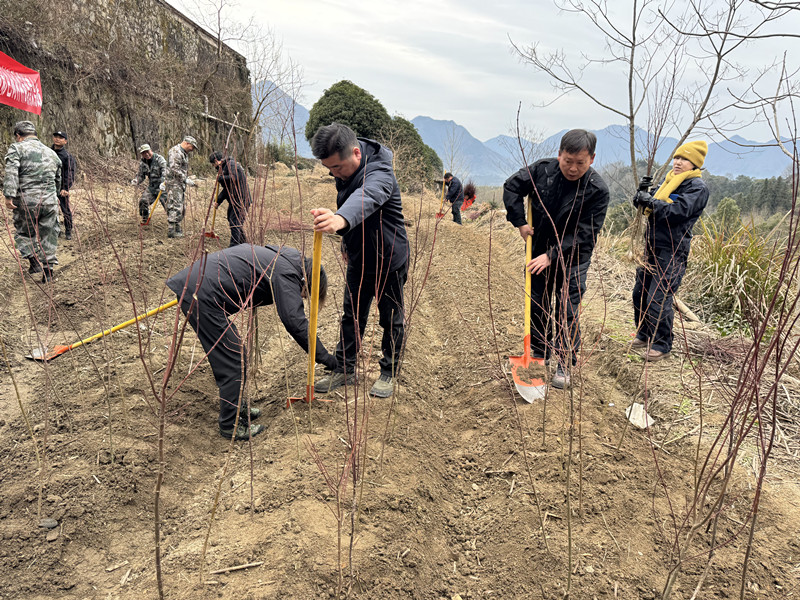 皖太平湖國有林場：增綠添綠提升生態亮色