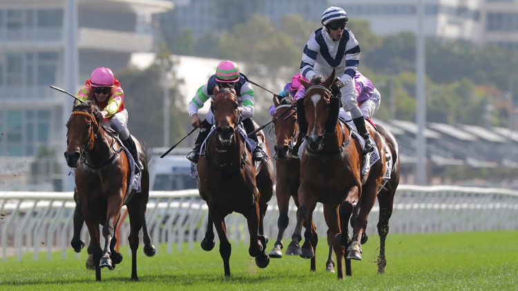 2025香港打吡大賽｜球星祝願爭盃主角 呂健威蔡約翰同派三路興兵