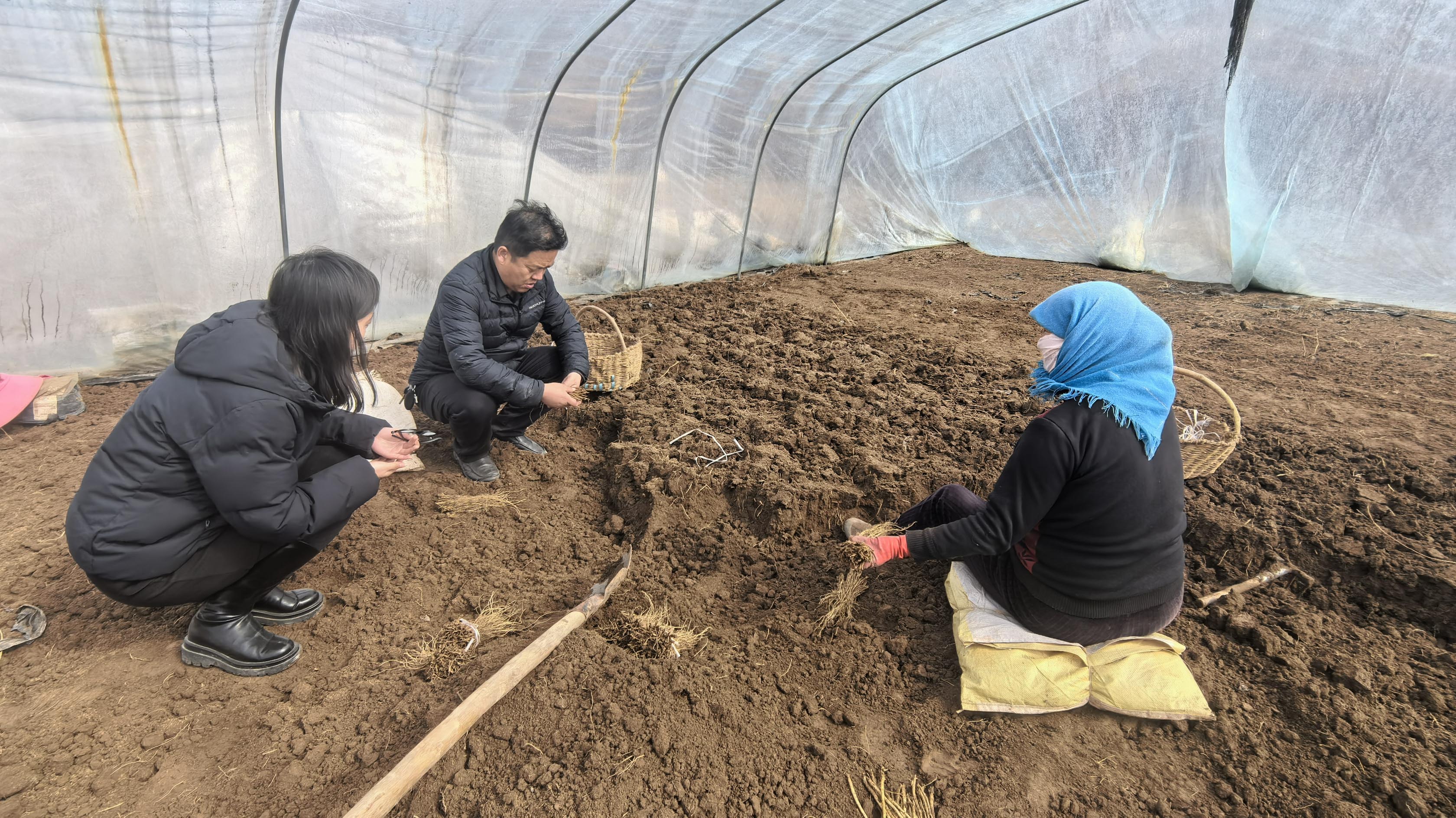 甘肅渭源：志願服務潤民心 文明新風滿山鄉