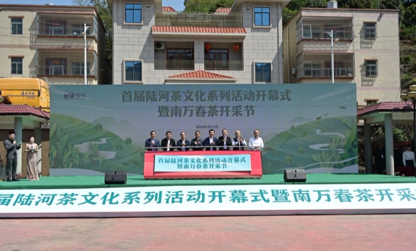 首屆汕尾陸河茶文化系列活動暨南萬春茶開採節啟幕