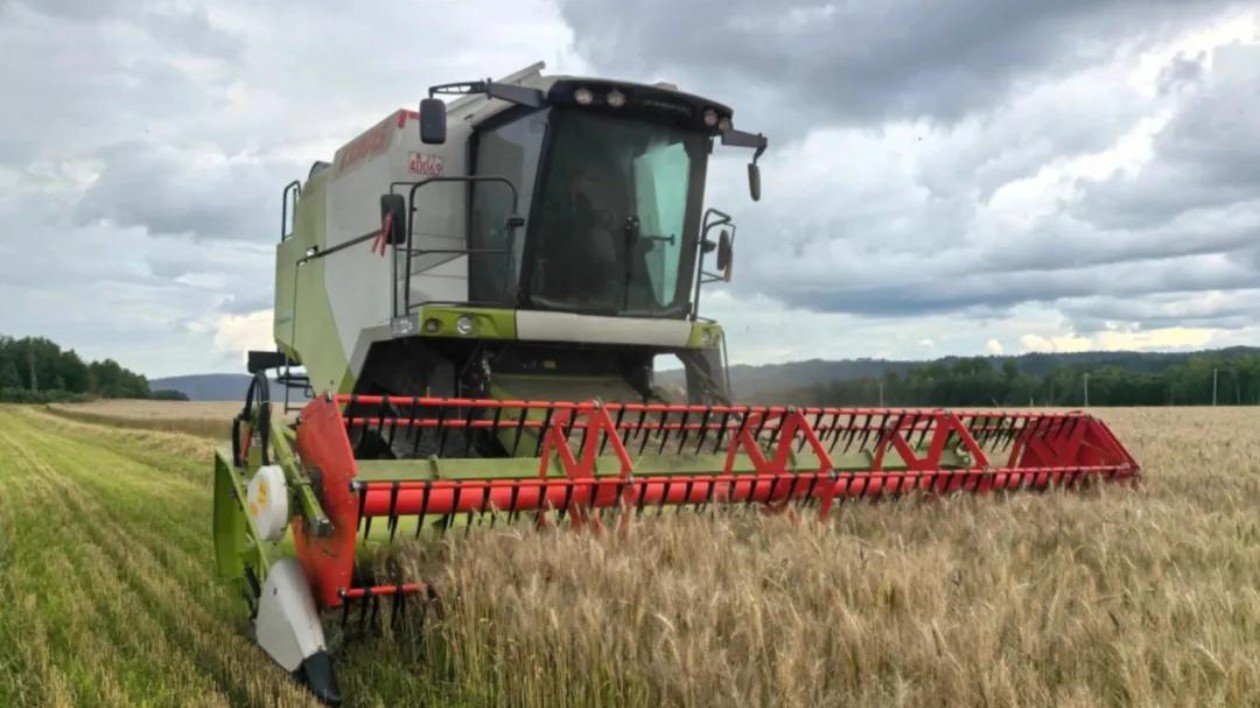 大興安嶺：探索生態與產業雙贏之路 林海間奏響綠色農業新樂章