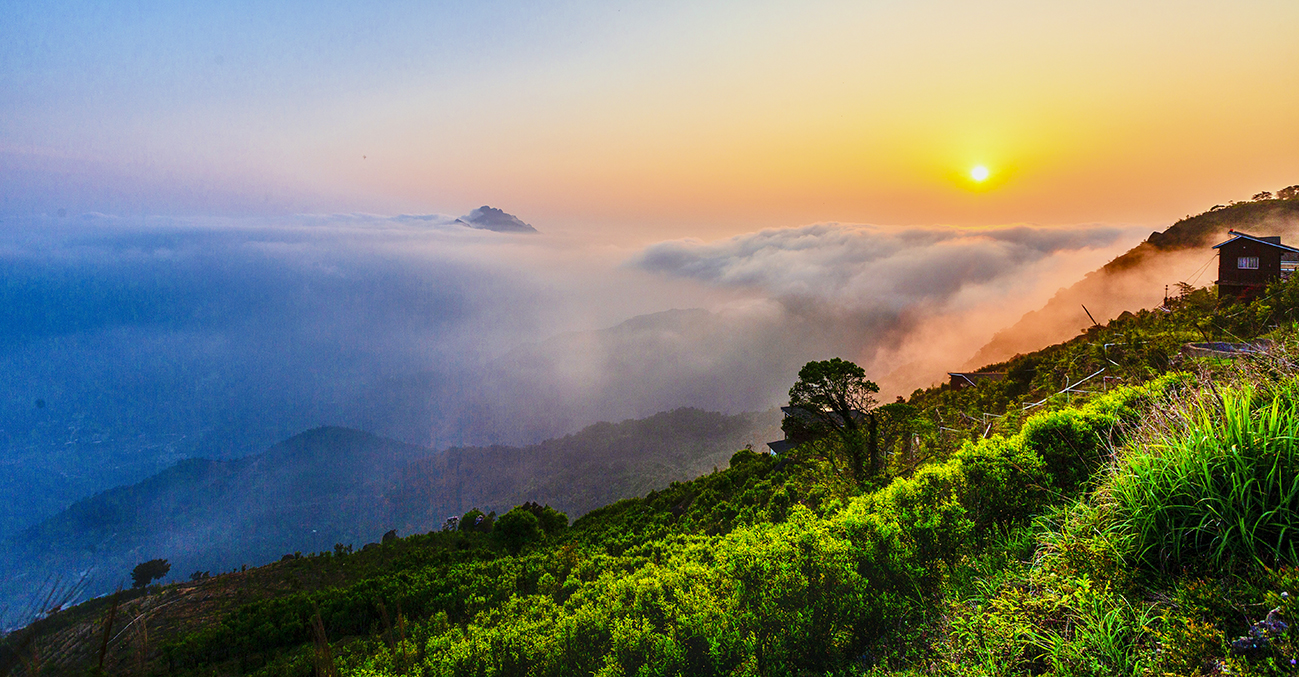 粵潮安打造基層治理新樣板案例 入選廣東省基層改革創新典型案例