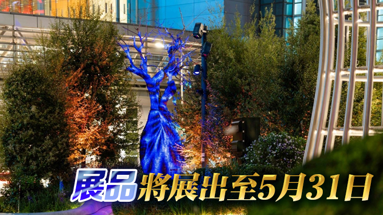 The Henderson藝術花園已開放 加入保育元素