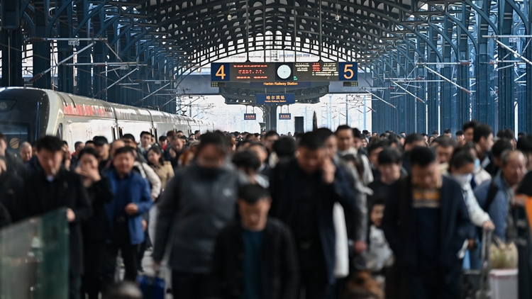 創新高！清明假期全社會跨區域人員流動量7.9億人次！