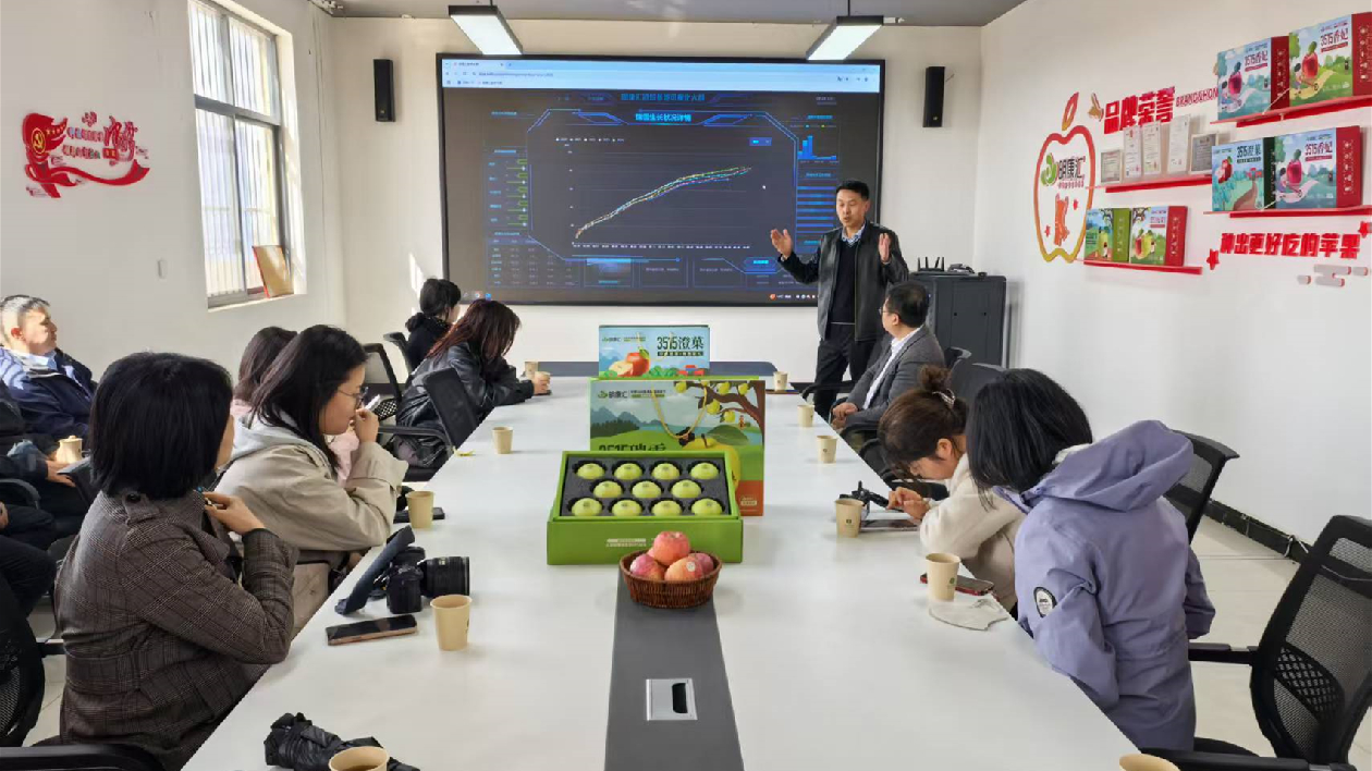 澄城海澄果業：打造高端蘋果品牌 冀開拓國際市場