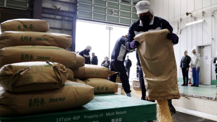 日本政府30年來首次拍賣儲備糧