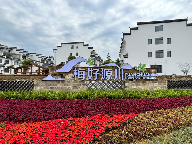 皖黟縣西遞鎮：打造「共富聯合體」 讓「黟梅」香飄世界