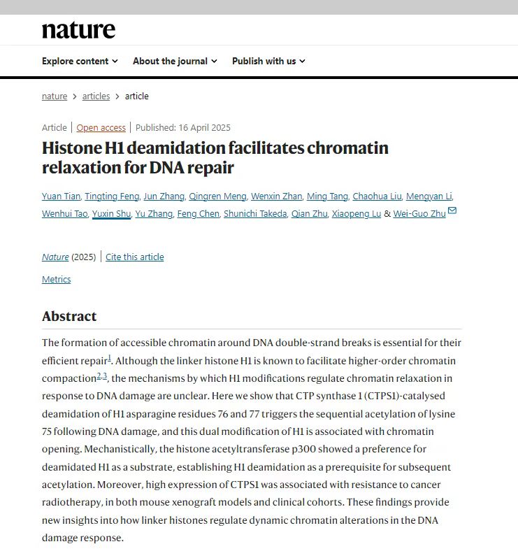深圳大學教授團隊在Nature上發表論文 癌症防治基礎研究獲突破性進展