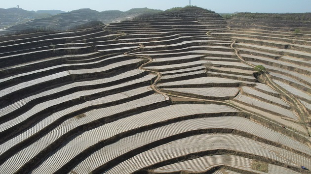 甘肅靜寧：守底線興產業美家園奏響「三農」強富美協奏曲