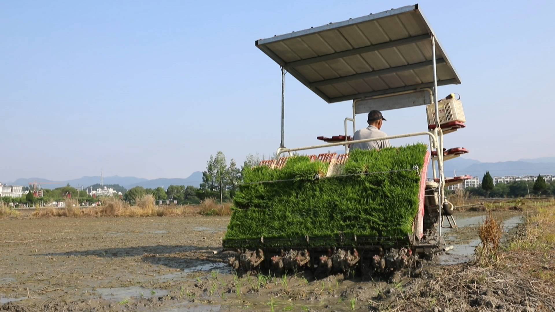 皖黟縣：機械化賦能春耕生產 助推糧食穩產增收