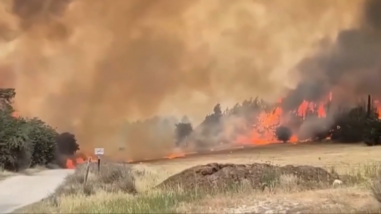 以色列進入「國家緊急狀態」