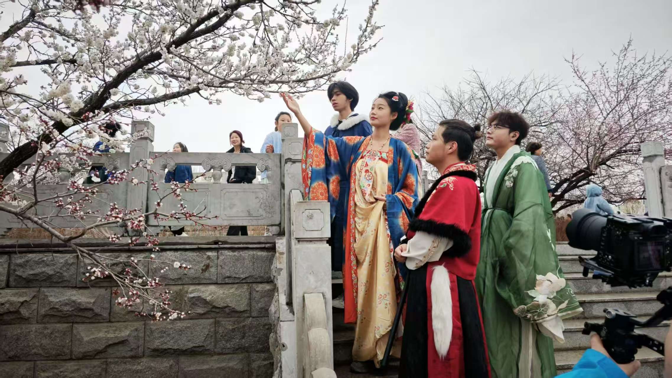  「三江有杏」雙次元漫遊：古韻新潮共繪春日盛景