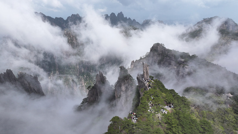 有片 | 一鍵生花，AI里的黃山好「仙」