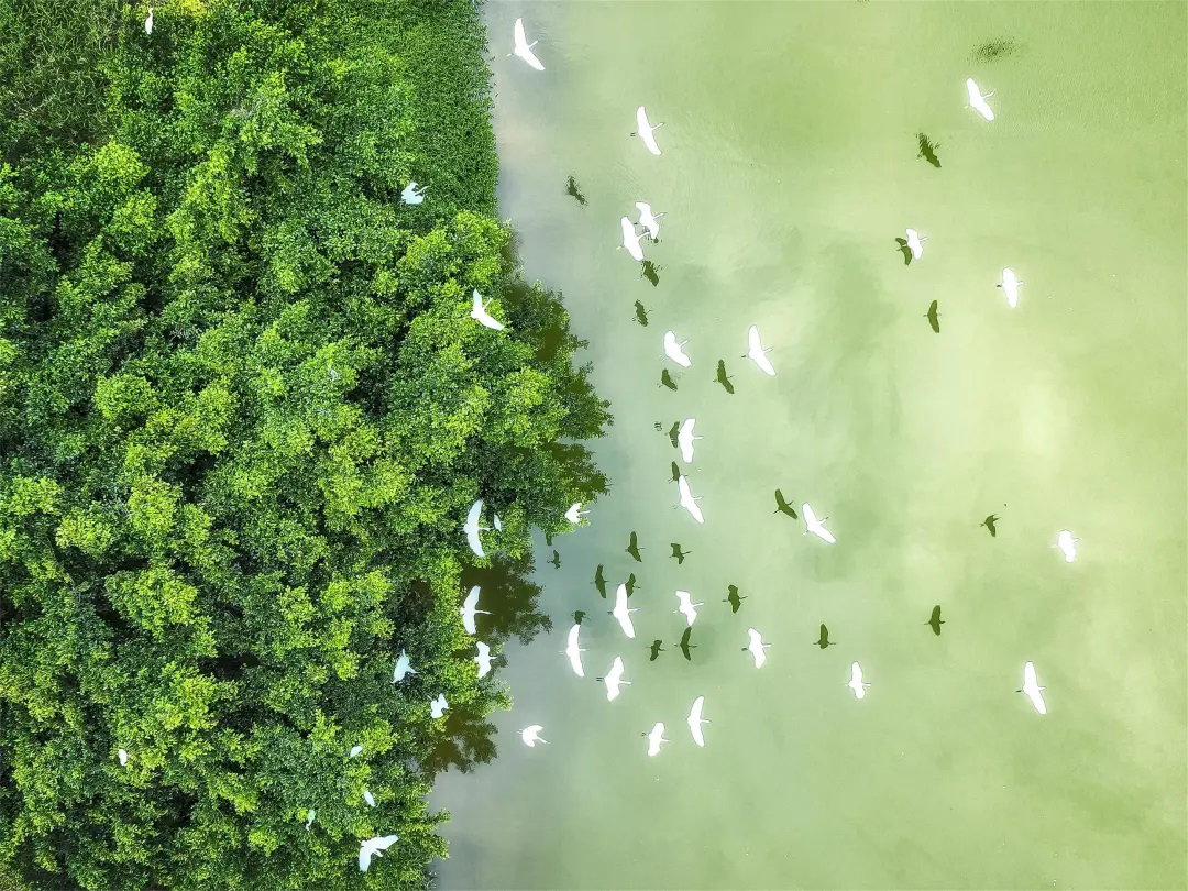 「五一」要吃好玩好  東莞沙田景美食鮮任你逛