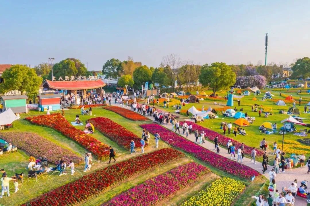 五一蔡甸文旅熱力「狂飆」 景區秒變歡樂「人潮海洋」