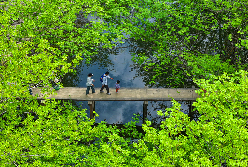 皖徽州區忝列2025全國市轄區旅遊發展潛力百佳區