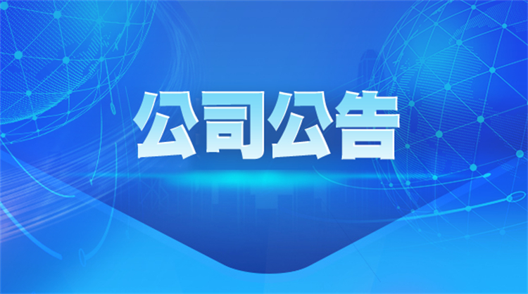 山東晨鳴紙業集團股份有限公司 2024年度股東大會決議公告