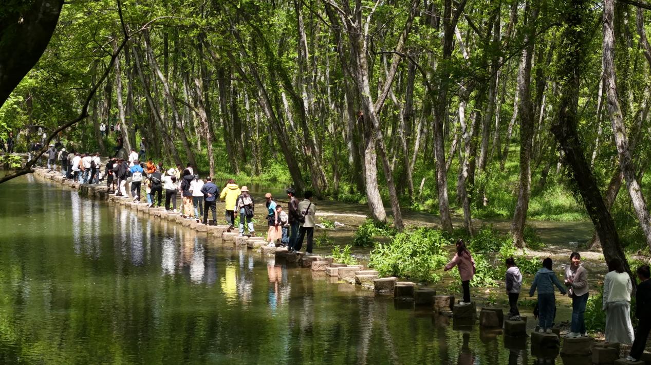 力繪生態+文旅融合新景  皖徽州區古韻野趣引客來