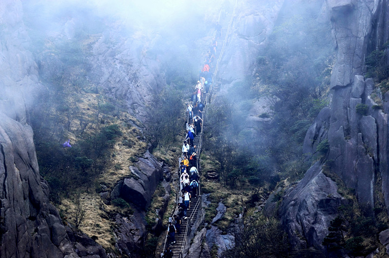 有片 | 遊人踏花影  黃山入畫來