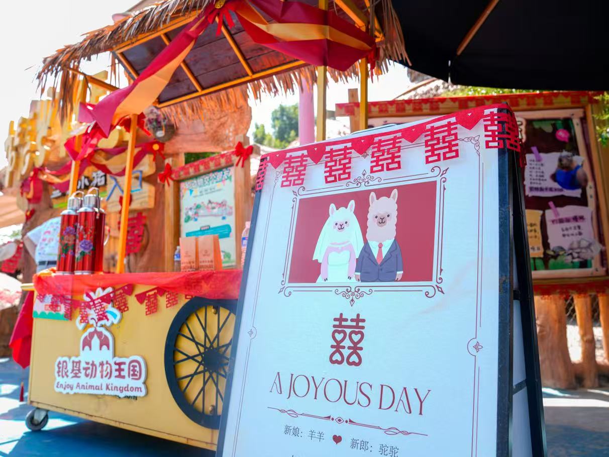 銀基動物王國為動物辦集體婚禮 喊話全國動物園在線徵婚