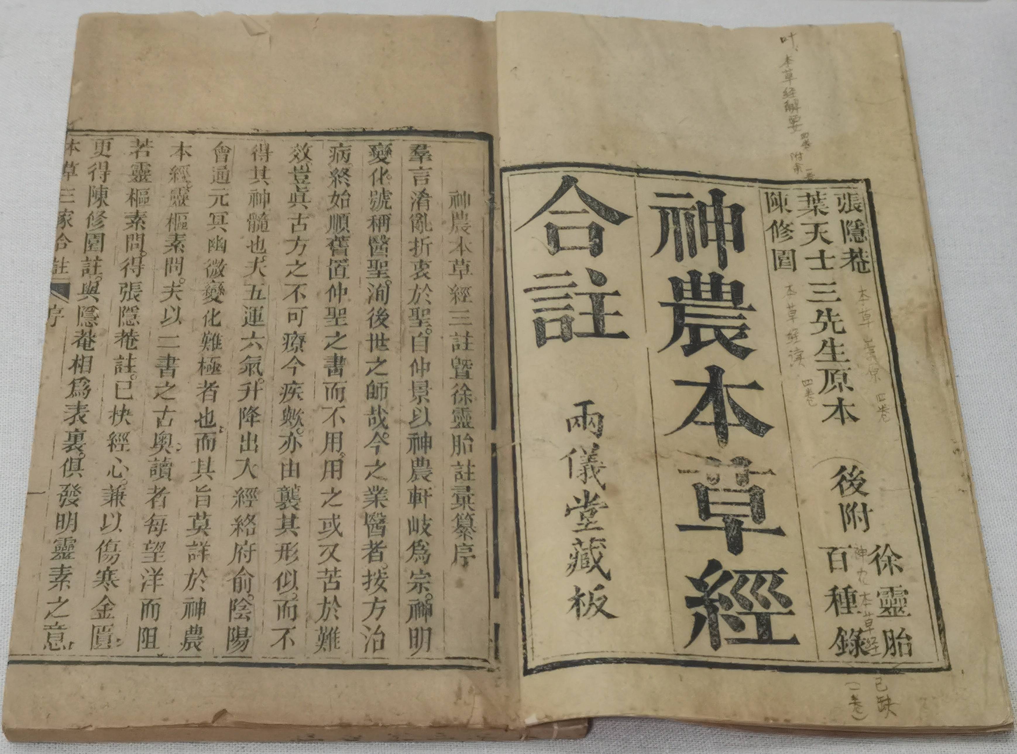 全鏈協同下的價值躍升  關於吉林人參高質量發展的觀察與思考（下）